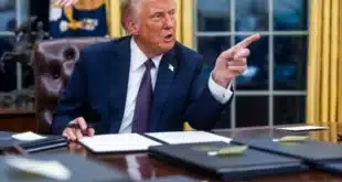 morning-brief-trumps-executive-orders